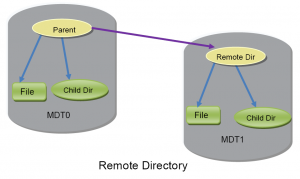 dne_remote_dir